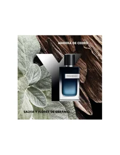 Perfumerías Coqueteo | Recarga Y EDP