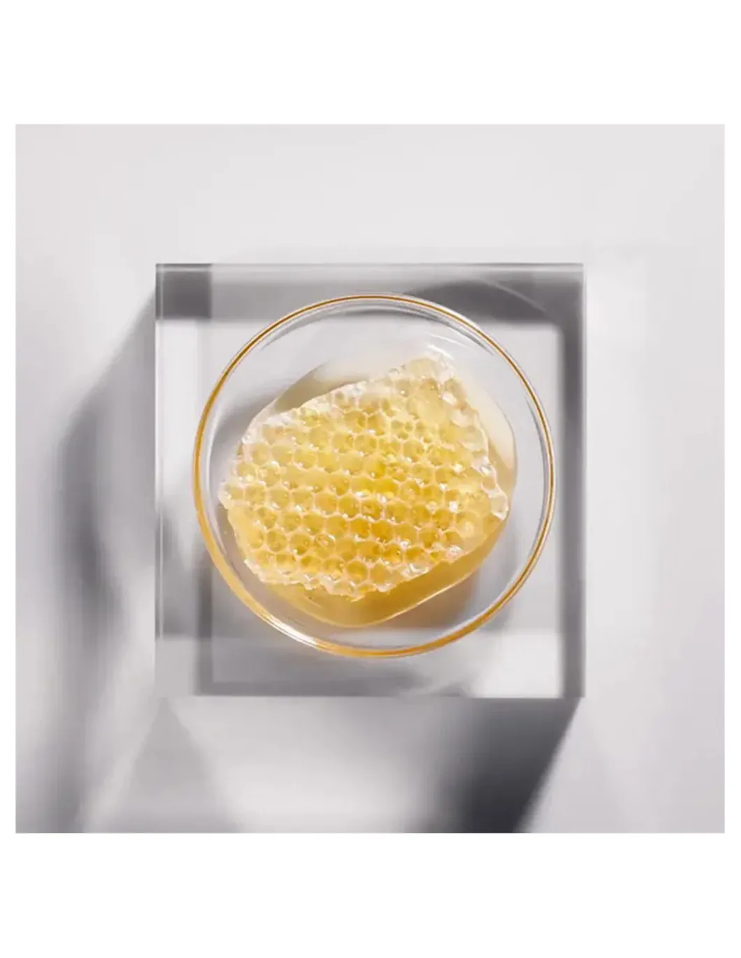 Perfumerías Coqueteo | René Furterer Triphasic Reactional 12 ampollas anticaída