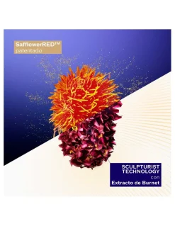 Perfumerías Coqueteo | Shiseido Vital Perfection Concentrated Supreme Cream