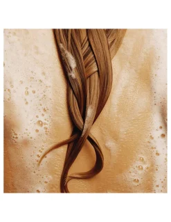 Perfumerías Coqueteo | The Rich Shampoo Augustinus Bader