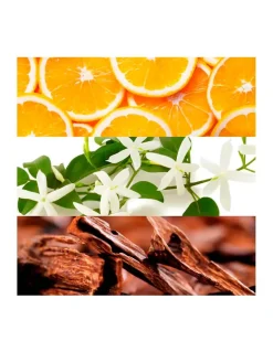 Perfumerías Coqueteo | Touch of Pink Lacoste