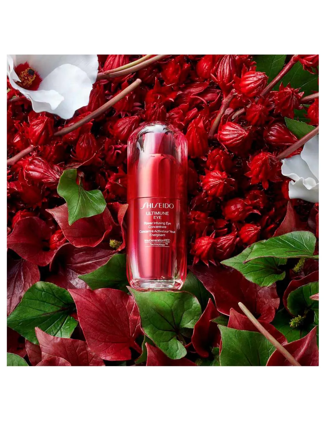 Perfumerías Coqueteo | Ultimune Power Infusing Eye Concentate Shiseido