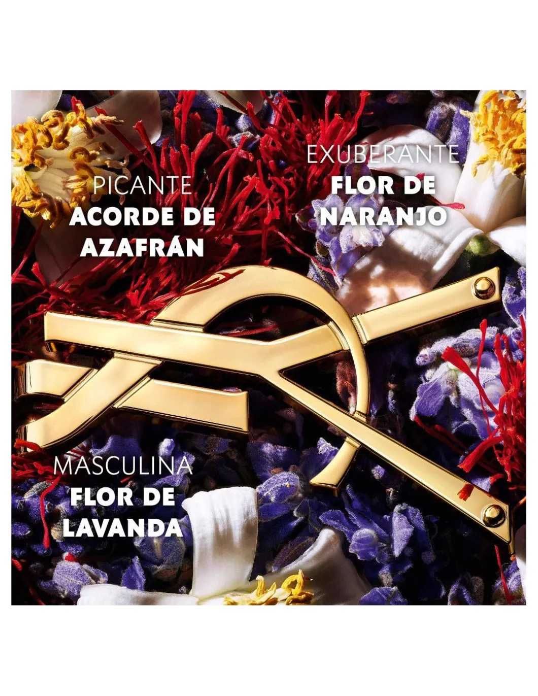 Perfumerías Coqueteo | YSL Libre Le Parfum EDP