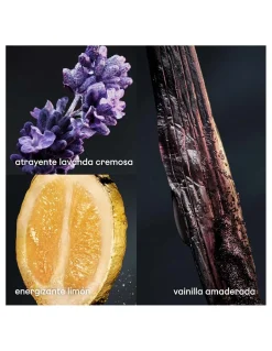 Perfumerías Coqueteo| Paco Rabanne Phantom Legion Collector EDT