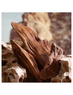 Perfumerçias Coqueteo | Dolce&Gabbana K by Dolce&Gabbana Parfum