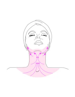 Tensolift Neck Cream