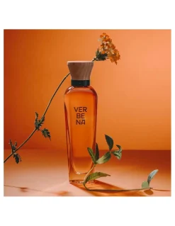 Verbena Mujer | Adolfo Dominguez